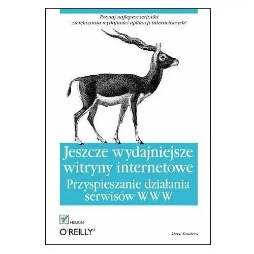 Jeszcze wydajniejsze witryny internetowe. Przyspieszanie działania serwisów WWW