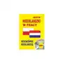 Język niderlandzki w pracy. Rozmówki niderlandzkie + CD Sklep on-line