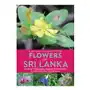 John beaufoy publishing ltd Naturalist's guide to the flowers of sri lanka Sklep on-line