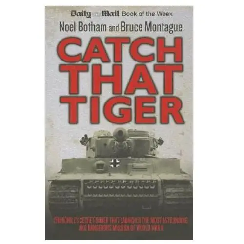 John blake publishing Catch that tiger