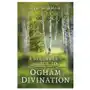 Beginner's guide to ogham divination, a John hunt publishing Sklep on-line