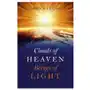 Clouds of heaven, beings of light John hunt publishing Sklep on-line