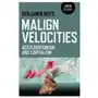 Malign velocities - accelerationism and capitalism John hunt publishing Sklep on-line