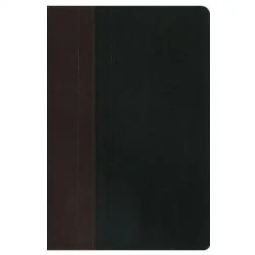 Niv study bible brown/tan duo-tone personal size John murray press