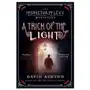 Trick of the light John murray press Sklep on-line