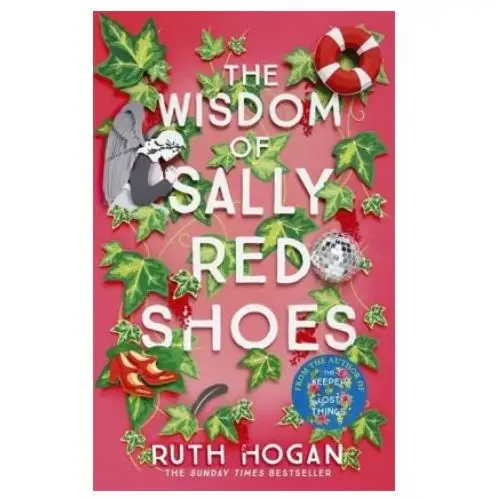 Wisdom of sally red shoes John murray press