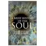 John wiley and sons ltd Brief history of the soul Sklep on-line