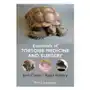 Essentials of tortoise medicine and surgery John wiley and sons ltd Sklep on-line