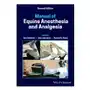 Manual of equine anesthesia and analgesia John wiley and sons ltd Sklep on-line