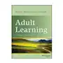 John wiley & sons inc Adult learning - linking theory and practice Sklep on-line