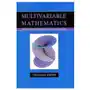 Multivariable Mathematics - Linear Algebra, Multivariable Calculus and Manifolds Sklep on-line