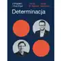 Determinacja z prądem i pod prąd, AZ#DAECDCBBEB/DL-ebwm/epub Sklep on-line