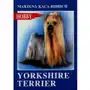 Yorkshire terrier - marzena kaca-bibrich Kaca-bibrich marzena Sklep on-line