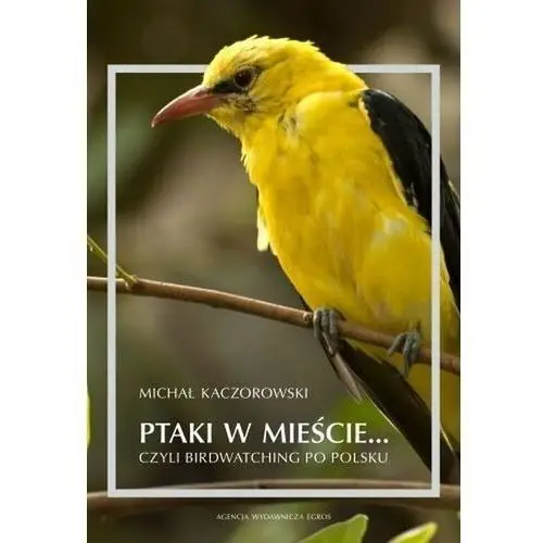 Ptaki w mieście czyli birdwatching po polsku