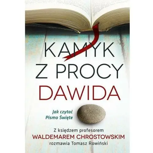 Kamyk z procy Dawida. Jak czytać Pismo Święte