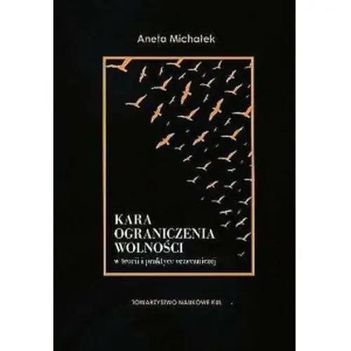 Kara ograniczenia wolności w teorii i praktyce orzeczniczej