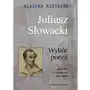 Klasyka mistrzów. Juliusz Słowacki. Wybór poezji Sklep on-line