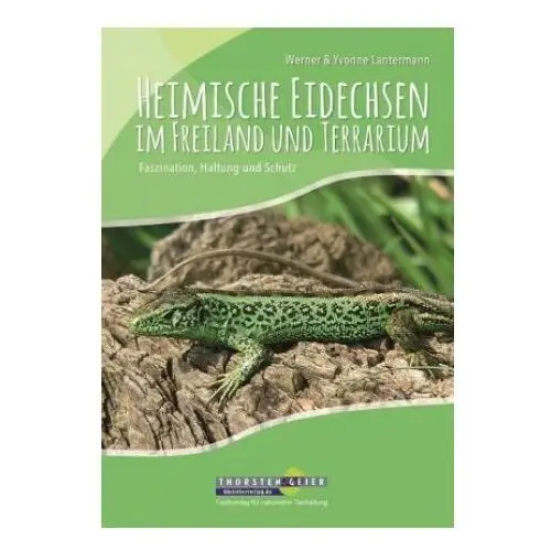 Heimische Eidechsen im Freiland und Terrarium