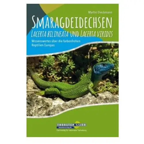 Smaragdeidechsen lacerta bilineata und lacerta viridis Kleintierverlag