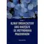 Klimat organizacyjny jako narzędzie (de)motywowania pracowników Sklep on-line