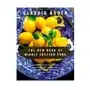 Knopf New book of middle eastern food Sklep on-line