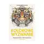 Kolorowe wyzwanie. 30 geometrycznych wzorów Sklep on-line