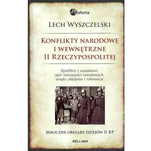 Konflikty narodowe i wewnętrzne w ii rzeczypospolitej