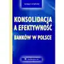 Konsolidacja a efektywność banków w Polsce. Rozdział 6 Sklep on-line