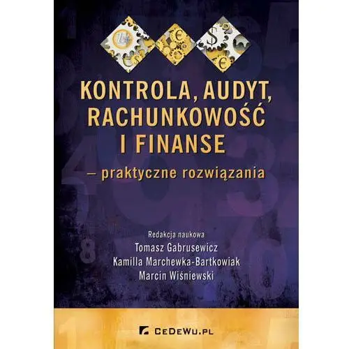 Kontrola, audyt, rachunkowość i finanse - praktyczne rozwiązania