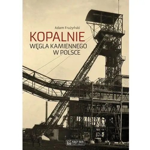 Kopalnie węgla kamiennego w Polsce - Jeśli zamówisz do 14:00, wyślemy tego samego dnia