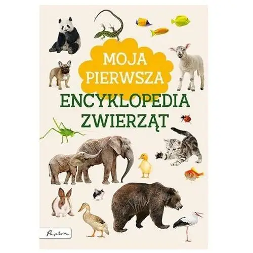 Kotecka marta Moja pierwsza encyklopedia zwierząt