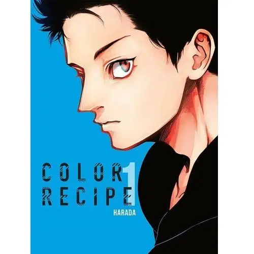 Kotori Color recipe 1 - harada - książka