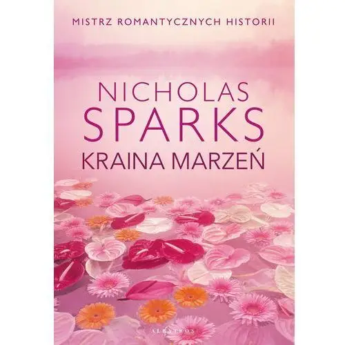 Kraina marzeń (E-book)