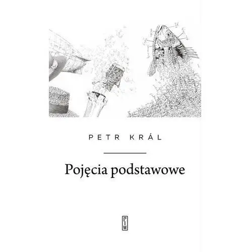 Pojęcia podstawowe - Petr Král