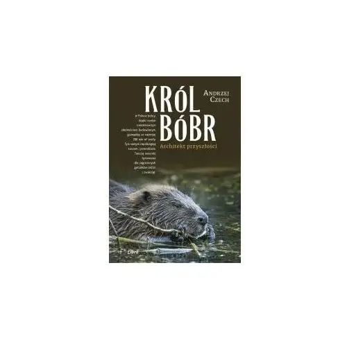 Król Bóbr