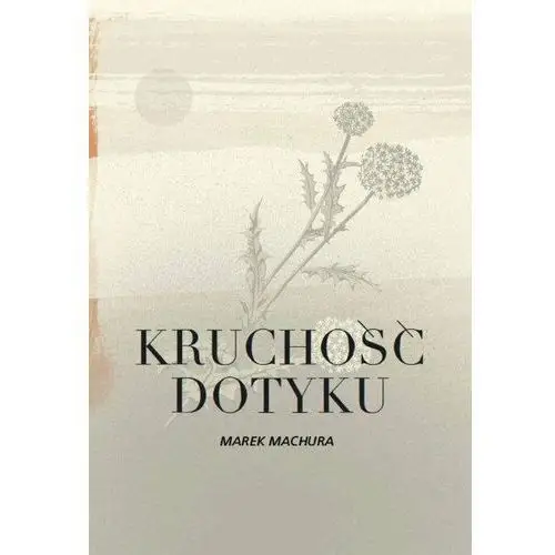 Kruchość dotyku