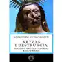Kryzys i destrukcja. Szkice o protestanckiej reformacji Sklep on-line
