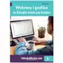 Wykresy i grafika w excelu krok po kroku - , piotr dynia Krzysztof chojnacki Sklep on-line