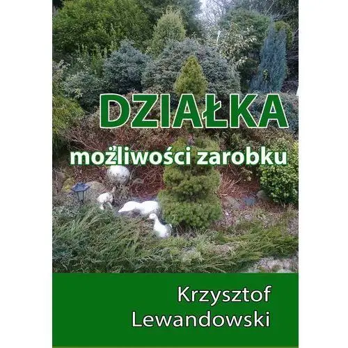 EBOOK Działka. Możliwości zarobku, AZB/DL-ebwm/epub