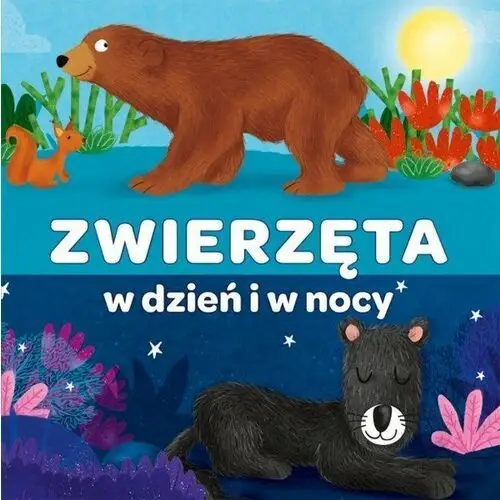 Książeczka harmonijkowa. Zwierzęta w dzień i w nocy. Kapitan Nauka