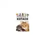Książka o kotach. Rasy, pielęgnacja, odżywianie Sklep on-line