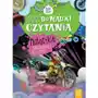 Książka Wyrazy i zdania do nauki czytania. Duże litery. Motocykle. Ciekawostki dla dzieci Sklep on-line