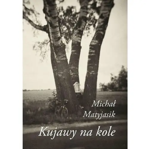 Kujawy na kole - ebook epub