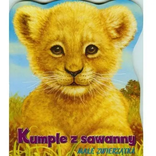 Kumple z sawanny