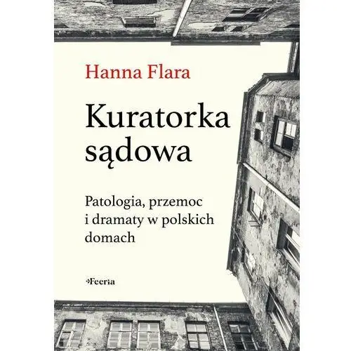 Kuratorka sądowa. Patologia, przemoc i dramaty w polskich domach