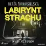 Labirynt strachu. Tom 2. Światło jest kapryśne Sklep on-line