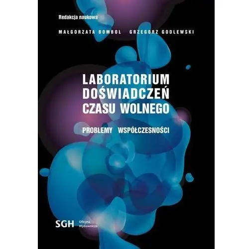 LABORATORIUM DOŚWIADCZEŃ CZASU WOLNEGO Problemy współczesności (E-book)