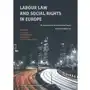 Labour law and social rights in europe Wydawnictwo uniwersytetu gdańskiego Sklep on-line
