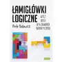 Łamigłówki logiczne. Wytęż umysł w 96 zagadkach matematycznych Sklep on-line