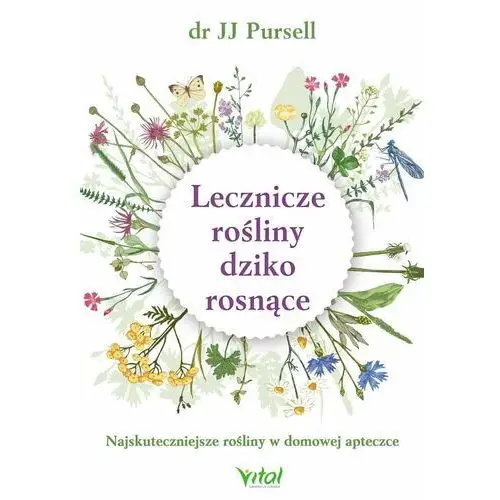 Lecznicze rośliny dziko rosnące. Najskuteczniejsze rośliny w domowej apteczce